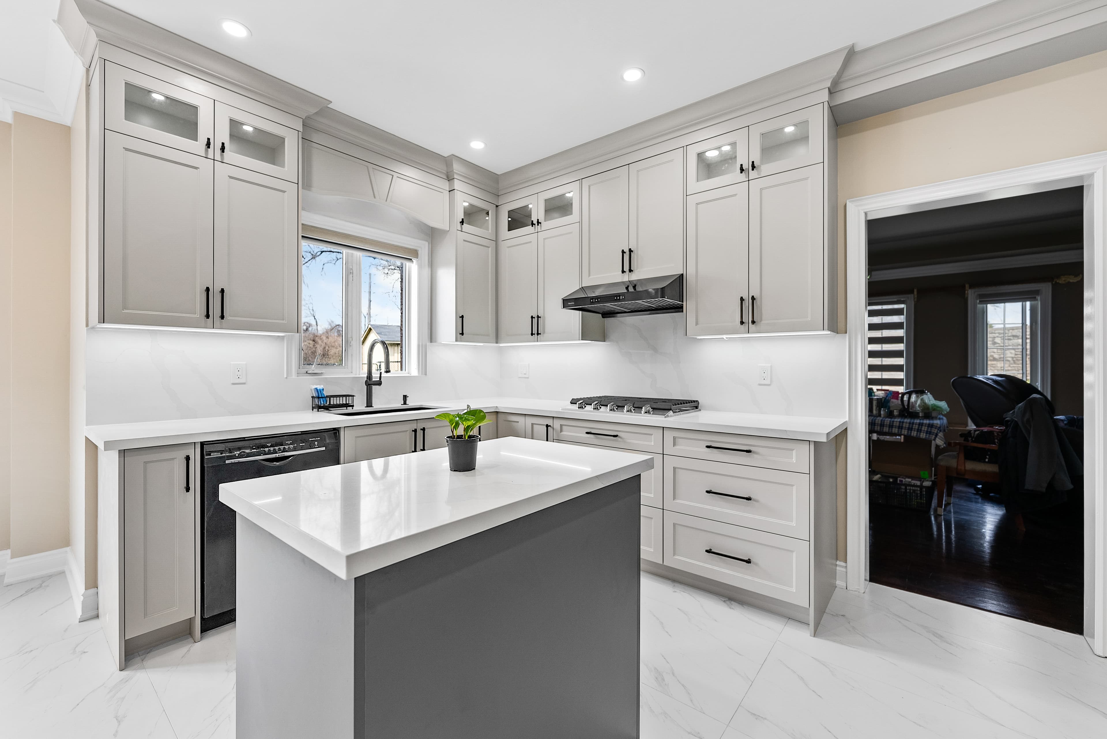 Kitchen View 6