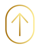 Decorative gradient shield with arrow